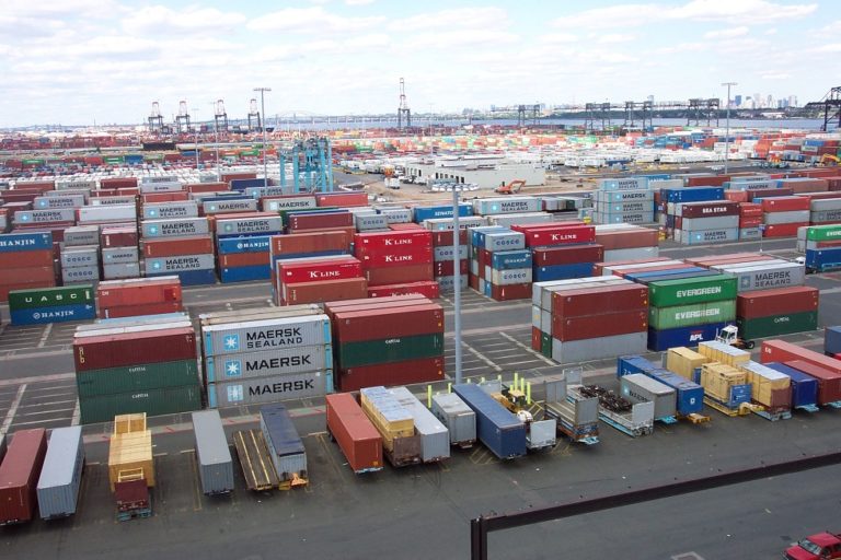Exclusive: African Centre for Supply Chain condemns Customs physical examination at ports