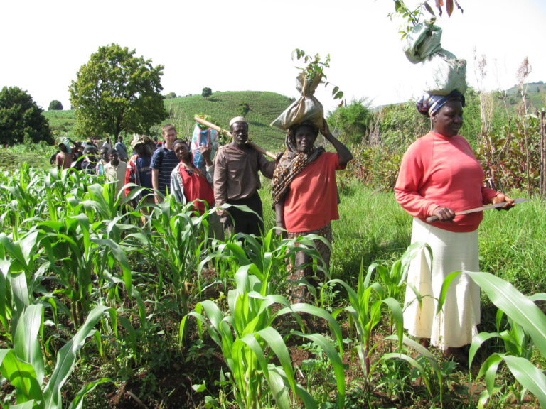 Econet, Yara unveil new initiative for  African agri-food entrepreneurs