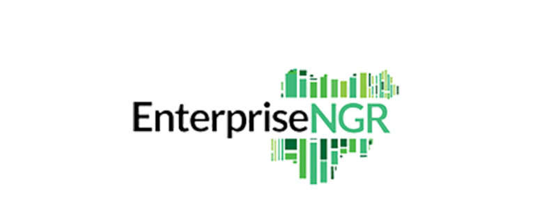 EnterpriseNGR launches 3rd YoE internship scheme